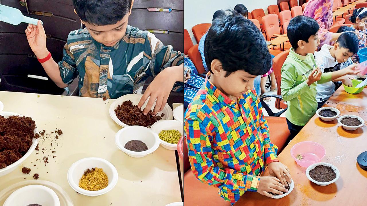 A participant presses the mud to enclose the seed. Pics courtesy/Naturalist Explorers