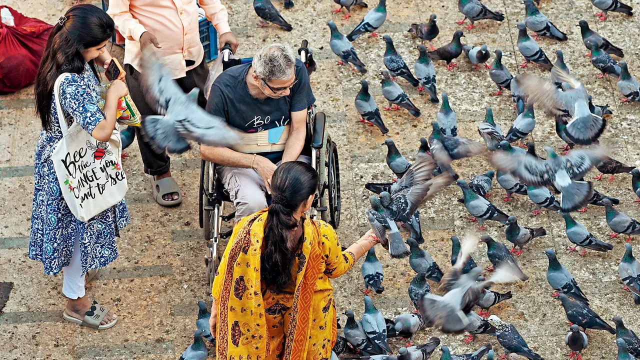 Pic/Sayyed Sameer Abedi