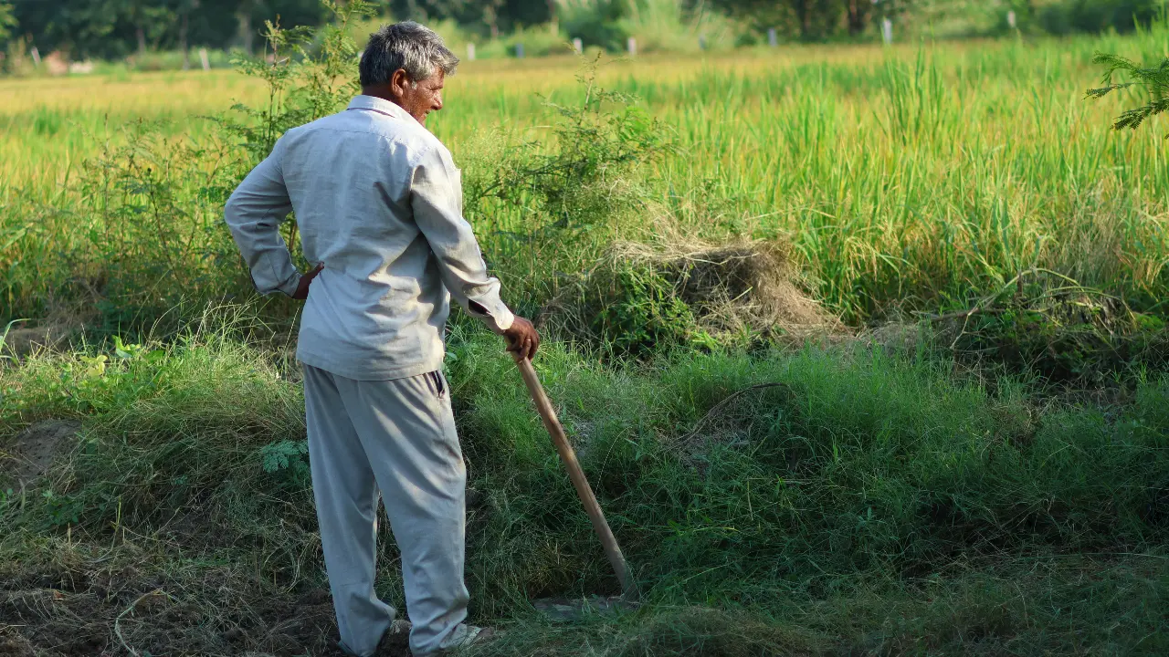 Image for representational purpose only. Photo Courtesy: File pic