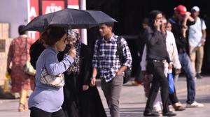 Light rain lashes Delhi, IMD forecasts thunderstorms, gusty winds throughout day