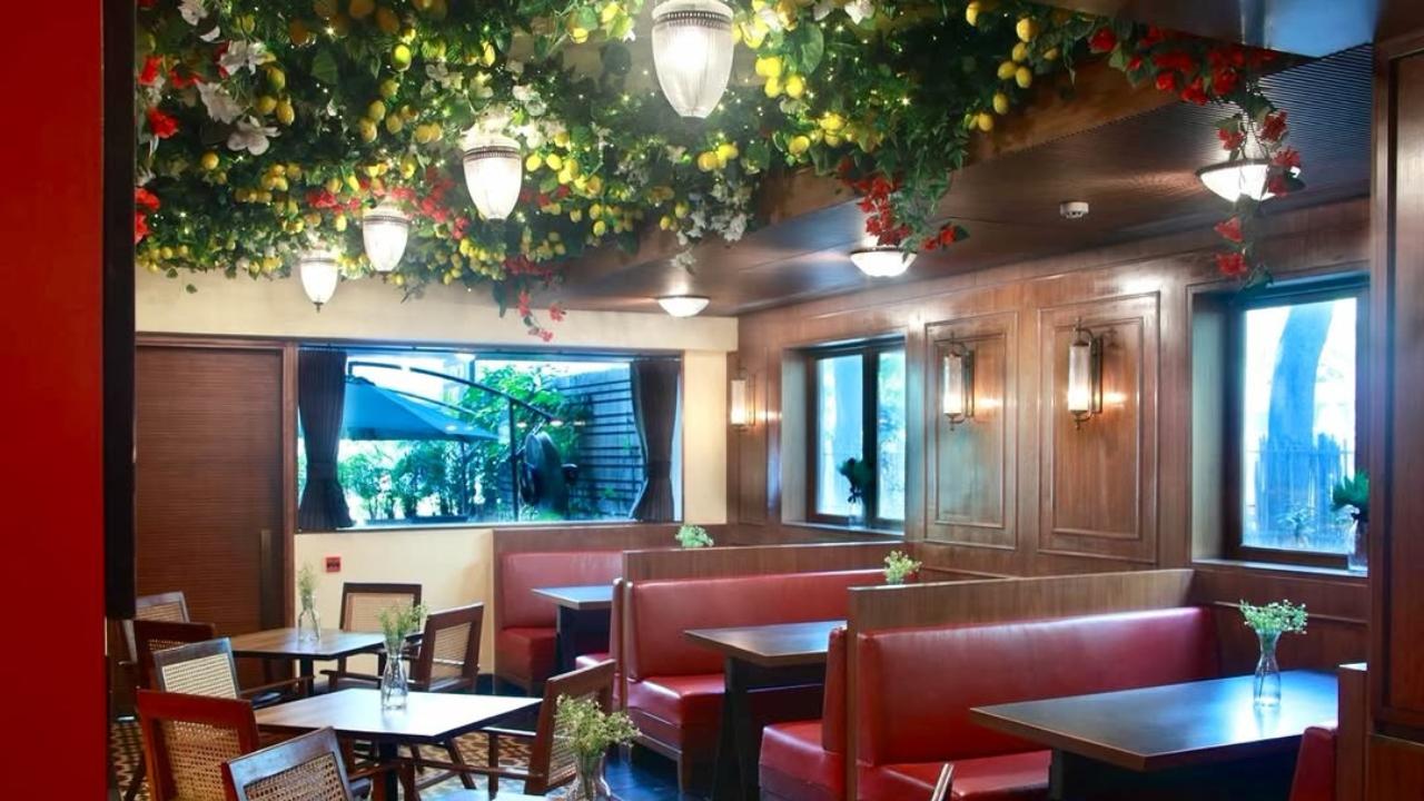 Unwind in the suburbsYou can kick things off at Bluebop Cafe with a Mango Burrata Salad, move into Crispy Fish and Mango Tacos or a Grilled Chicken Burrito Bowl for the main event, and end with the Mango Pistachio Cheesecake Kunafa, which, honestly, deserves its own moment regardless of the match result.
On the drinks side, the Spicy Mango Margarita and Mango Mojito keep things seasonal and sharp. It's a lively spot with good energy on match nights, the kind of place where the food gives you something to talk about even during a dull over.
Where: Bluebop Cafe, Khar WestWhen: Throughout the seasonTime: 7 pm onwards