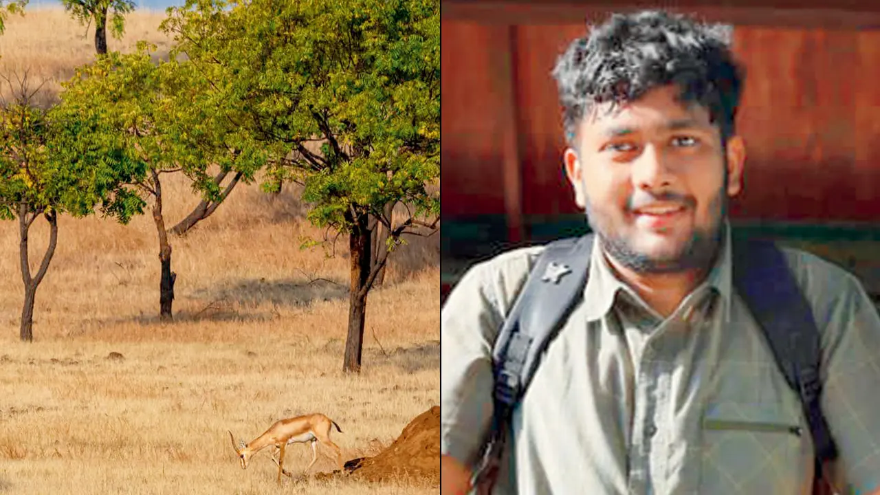 The Indian Gazelle; (right) Karan Solanki. Pics courtesy/Karan Solanki