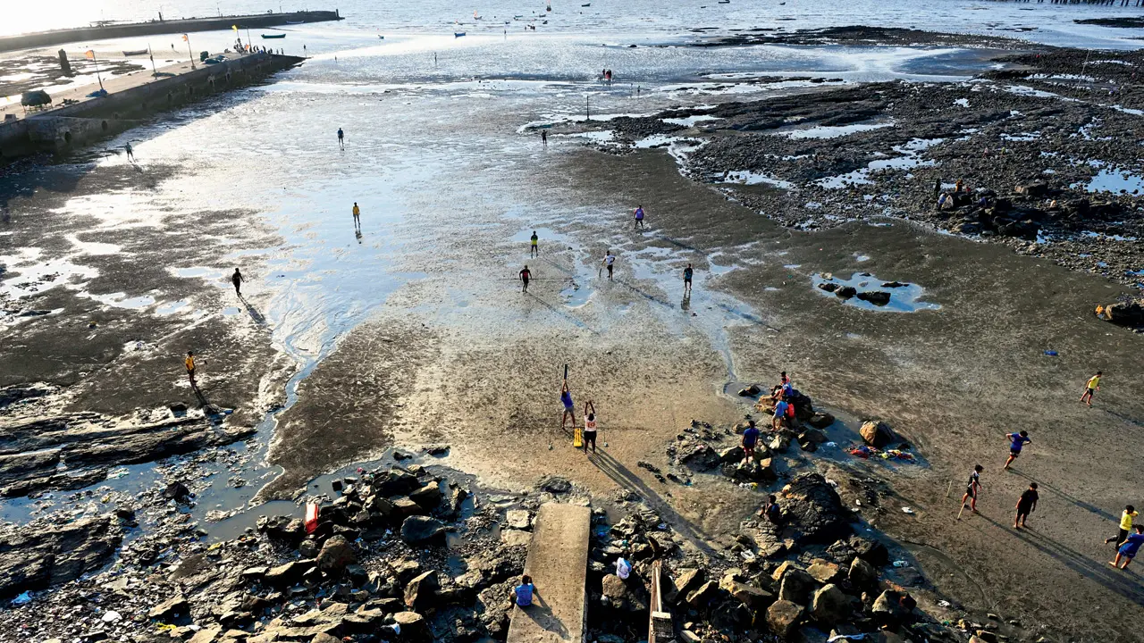 Mumbai Diary: Thursday Dossier