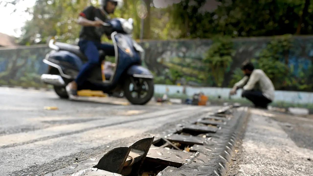 Mumbai civic body acts to curb speeding near Hanging Gardens stretch