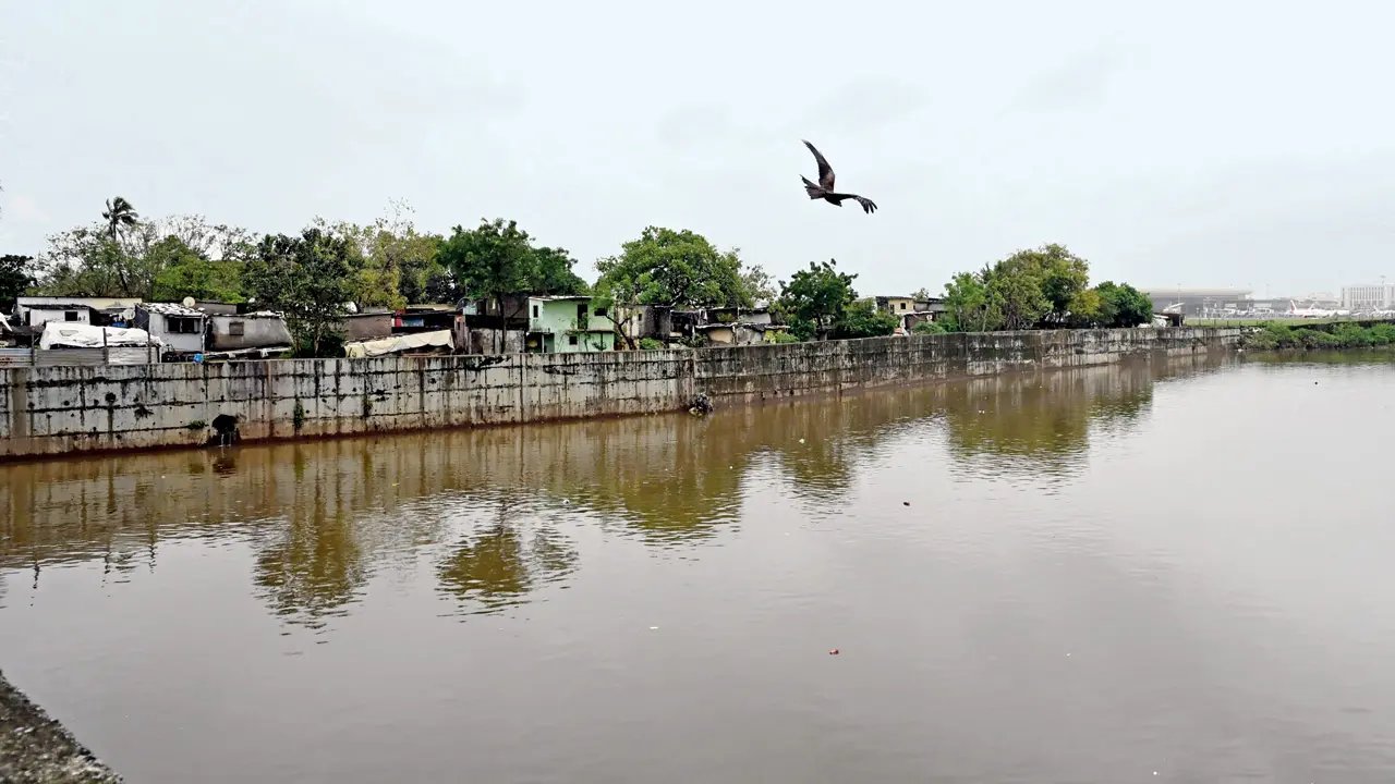 State river rejuvenation body gets cabinet nod with multi-crore funding plan