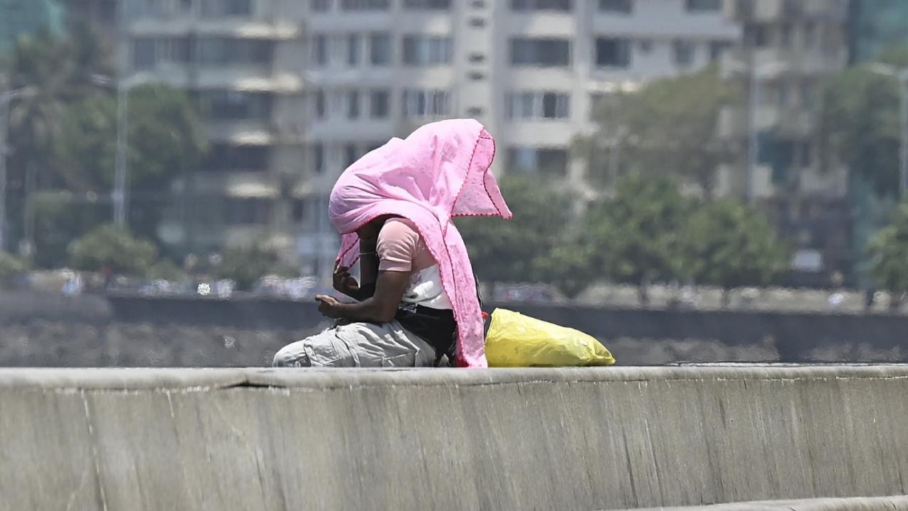 In coastal areas, Dahanu recorded a high of 35 degrees Celsius, while Ratnagiri saw a maximum of 33 degrees Celsius. Harnai reported relatively high humidity levels, with morning relative humidity at 75 per cent and rising further in the evening.