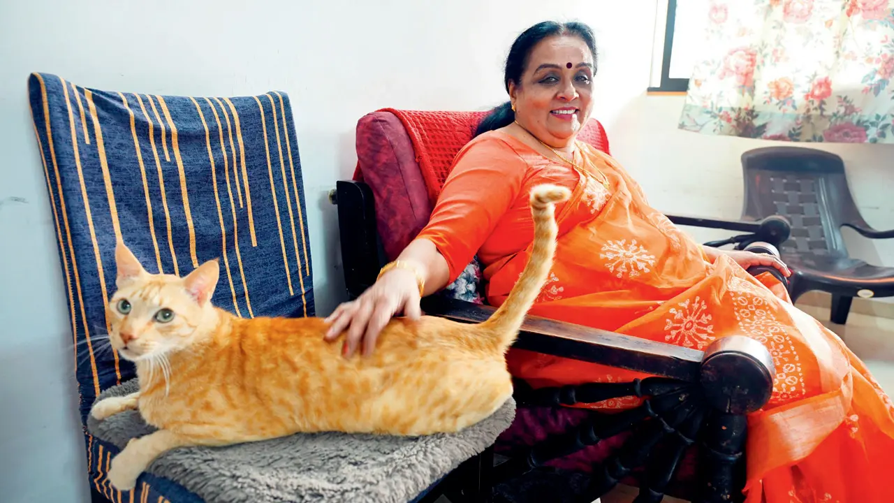 Trans Amendment Bill: How allies are helping the community amid grief