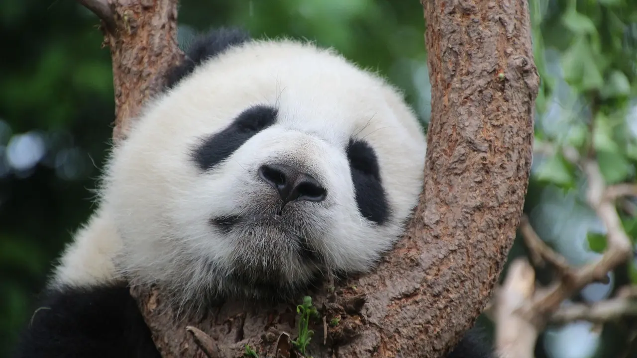 Image for representational purpose only. Photo Courtesy: File pic