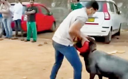 Representational Image