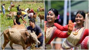 IN PHOTOS: Glimpses of Rongali Bihu celebrations in Assam