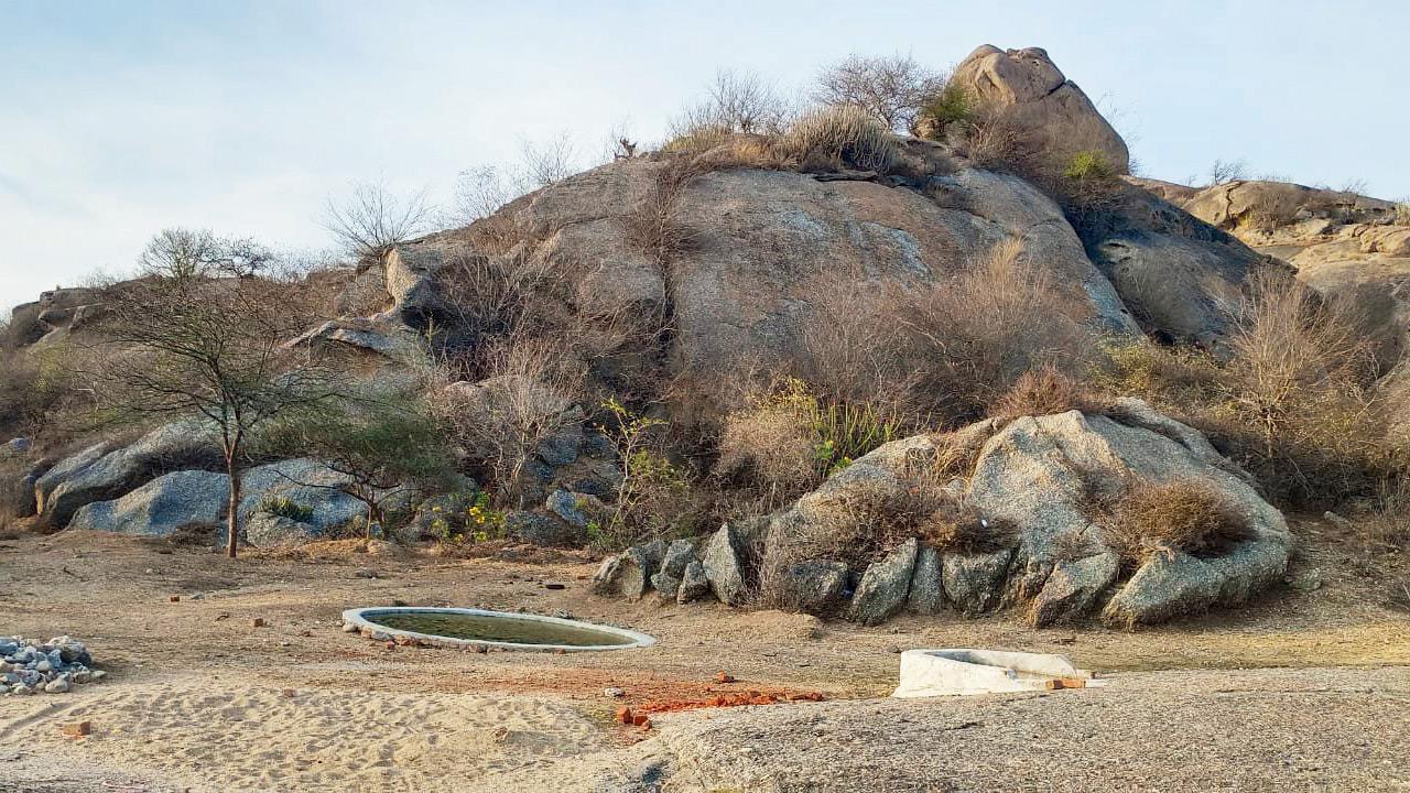 Exploring the Aravalli adventure in Narlai and nearby attractions