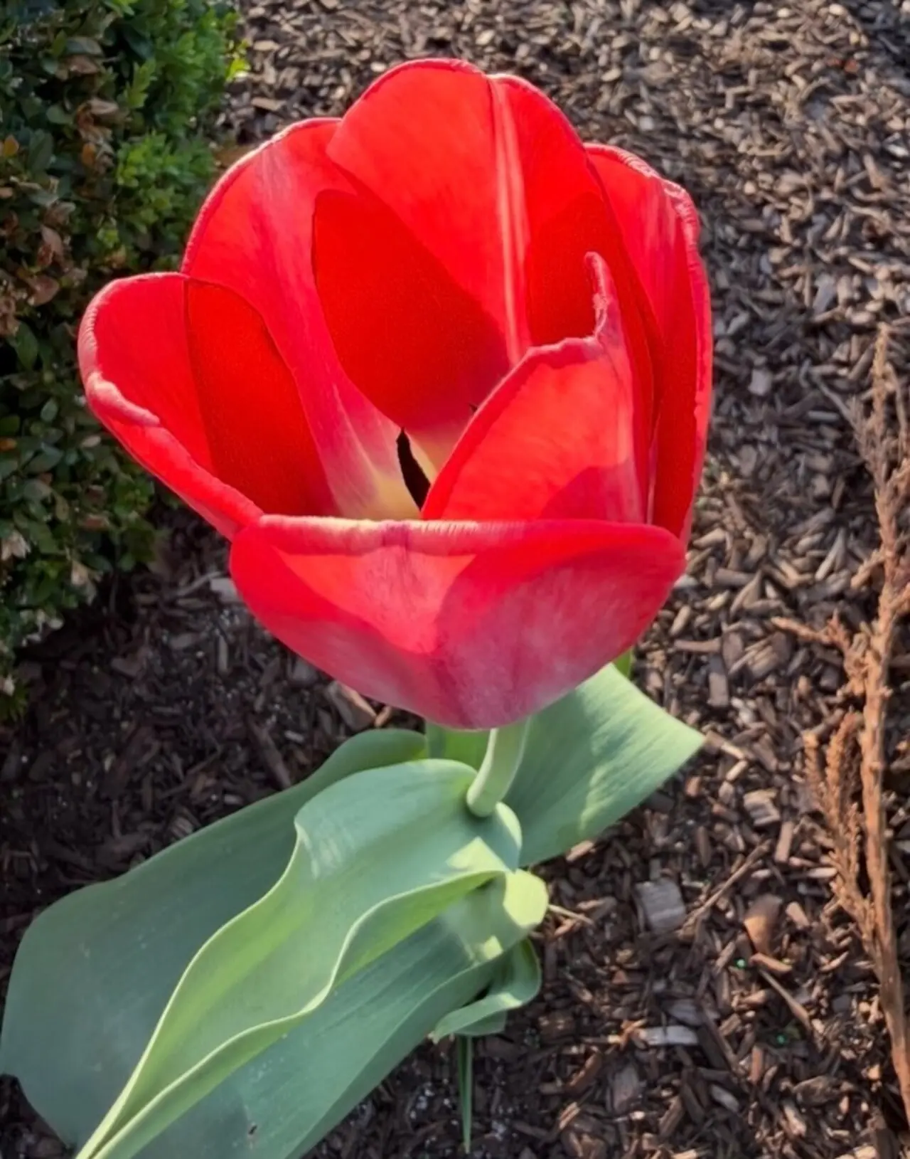 In another picture, she is captured with the child enjoying playtime outdoors with a toy bat