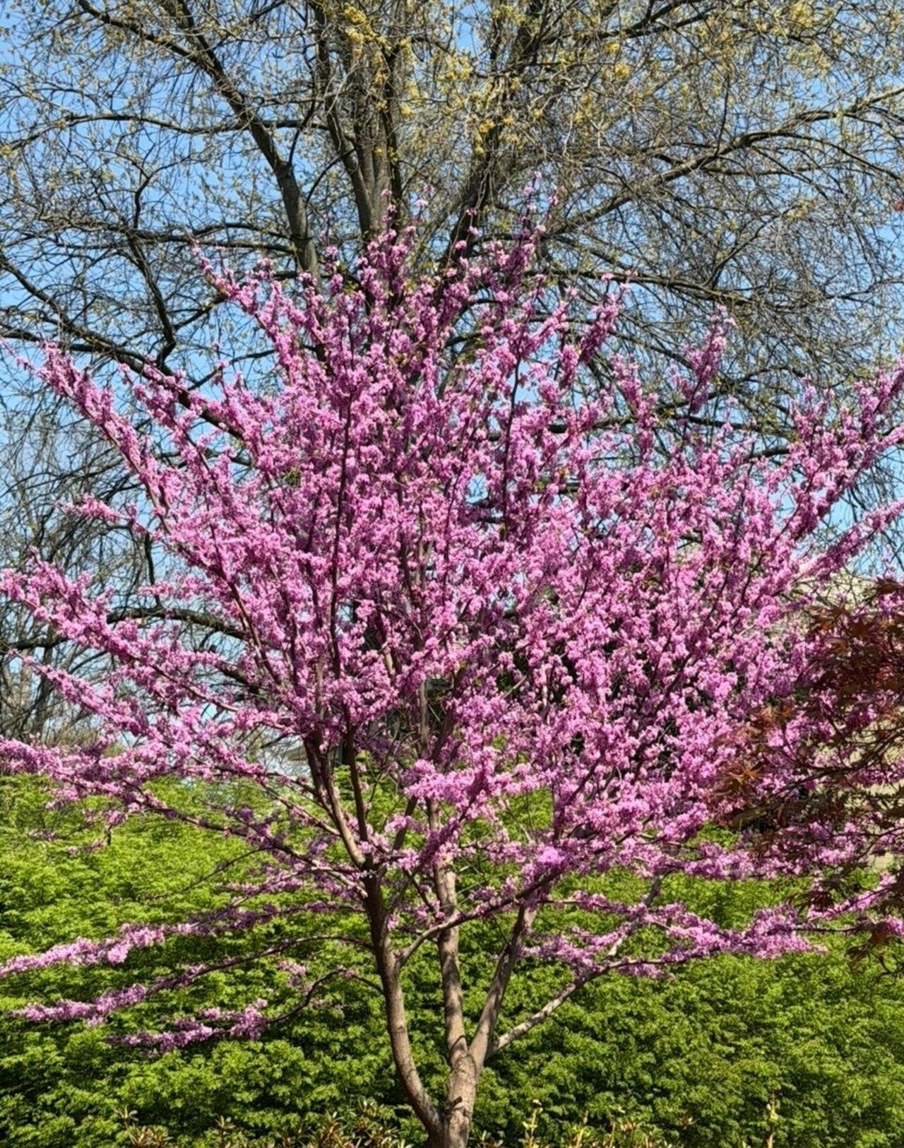 In one picture, the actress is seen sitting beside her little baby boy dressed in a sparkly pink outfit, caught candid