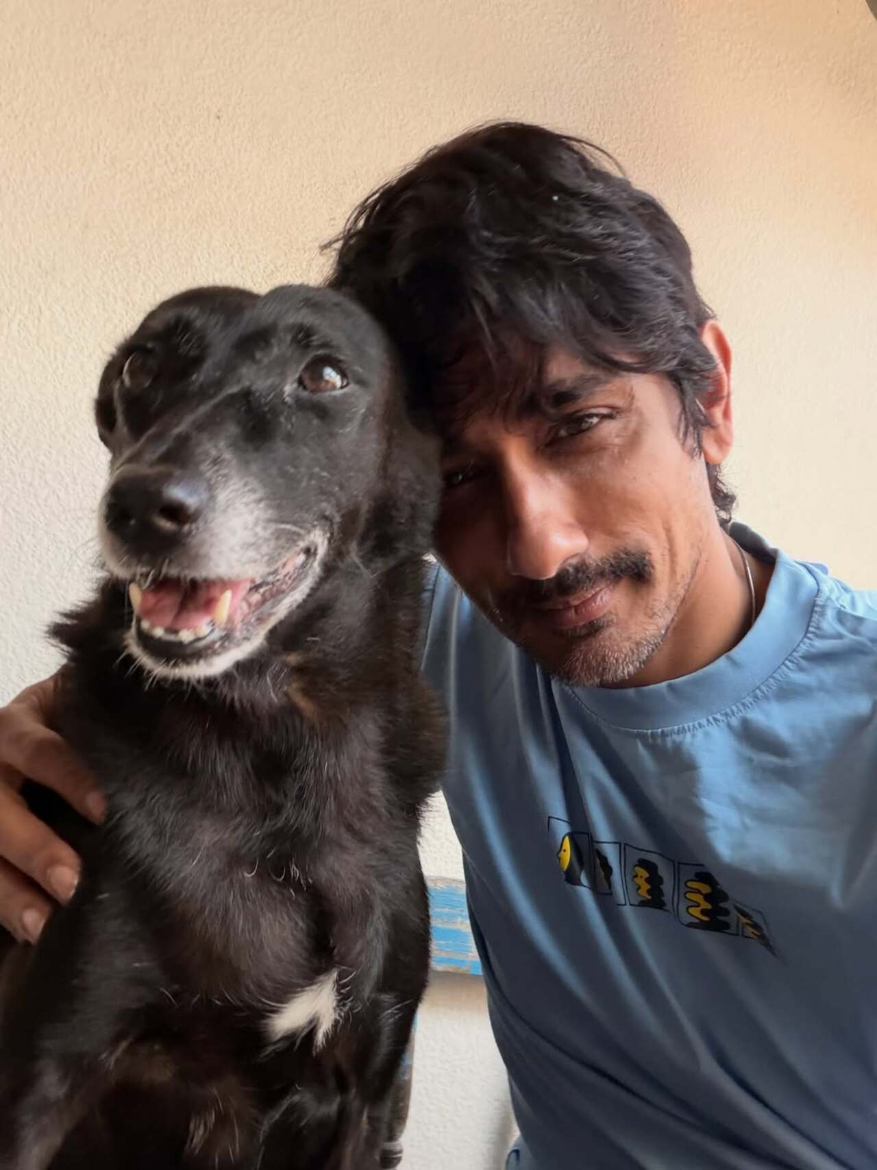 They balance glamour with simplicity, making them relatable yet aspirational to fan