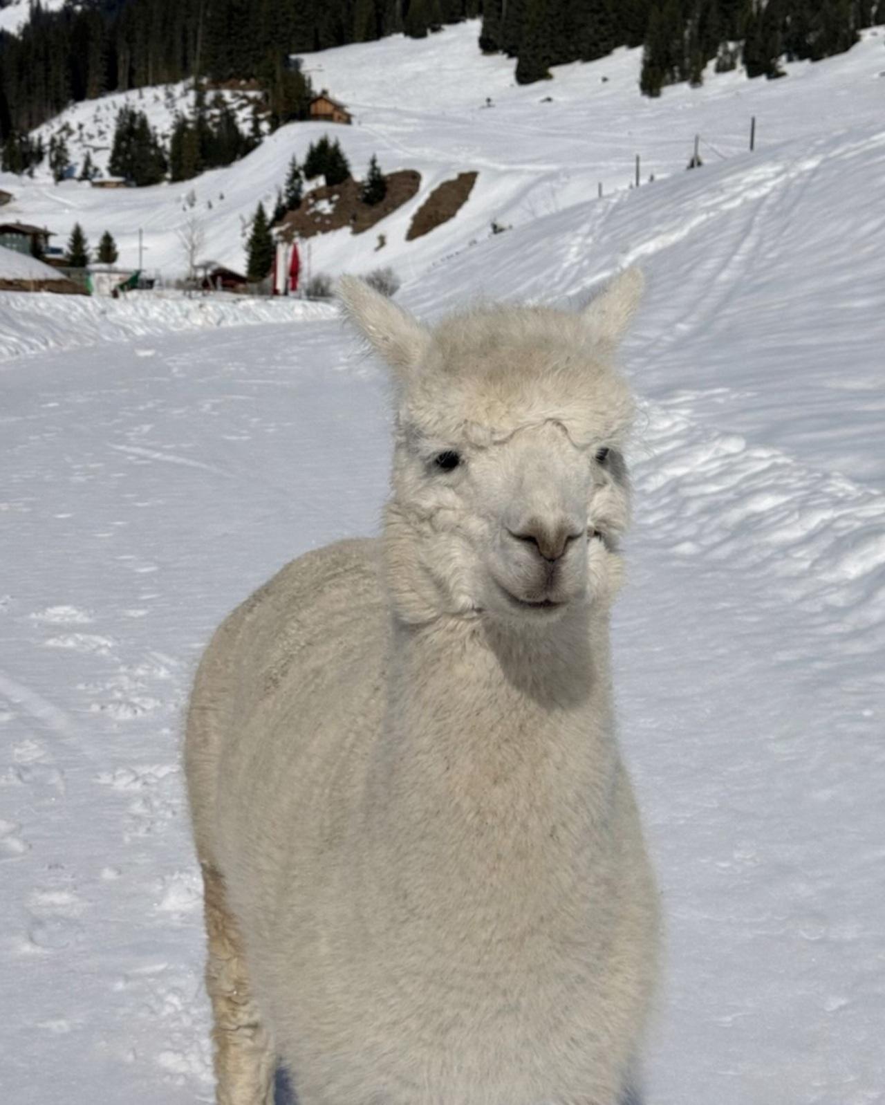 Here's wishing Ranbir and Alia a very happy anniversary!