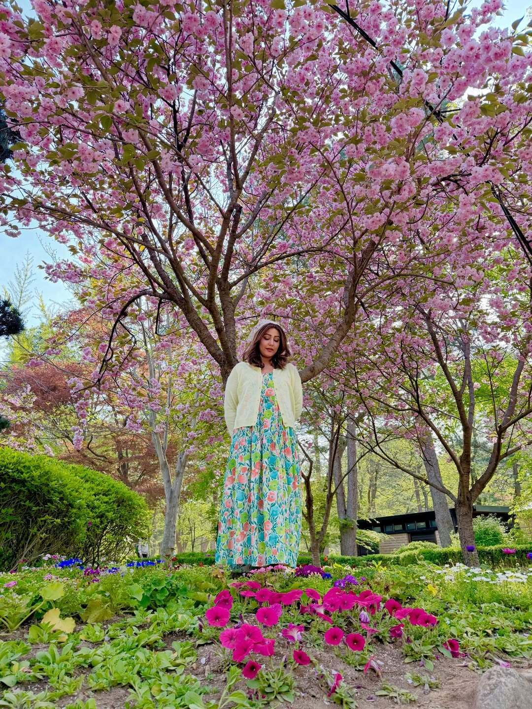 Hina Khan embraced spring vibes at South Korea as she posed amid the picturesque pink background.