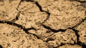 High lead levels found in soil near battery recycling units across India: Study