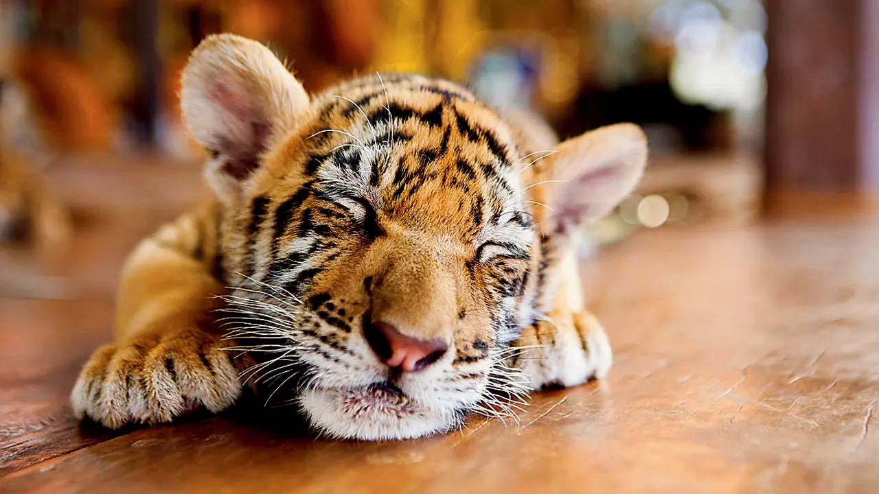 REPRESENTATION PIC/ISTOCK