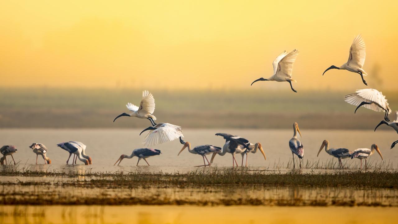 Image for representational purpose only. Photo Courtesy: File pic