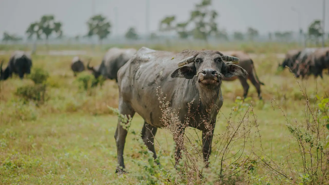 Image for representational purpose only. Photo Courtesy: File pic