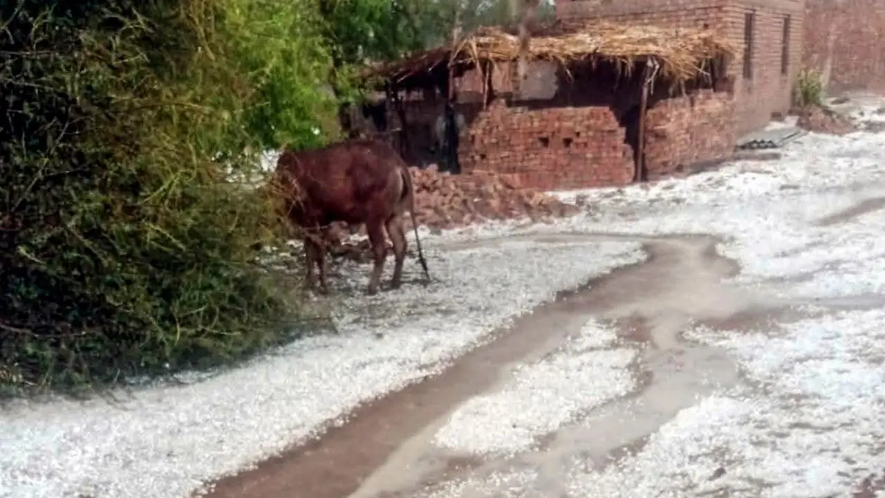 IN PHOTOS: Hailstorms, strong winds, and rain hit parts of Rajasthan