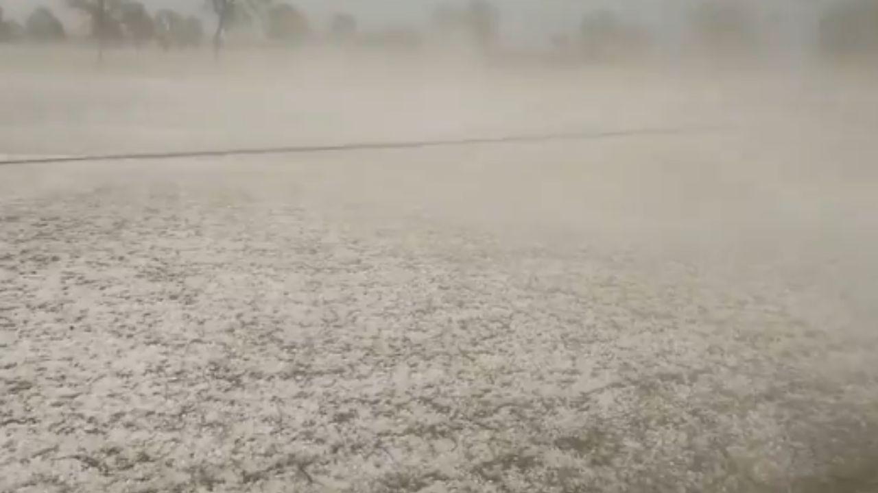 In the video, the field appears entirely covered in a snow-like layer.