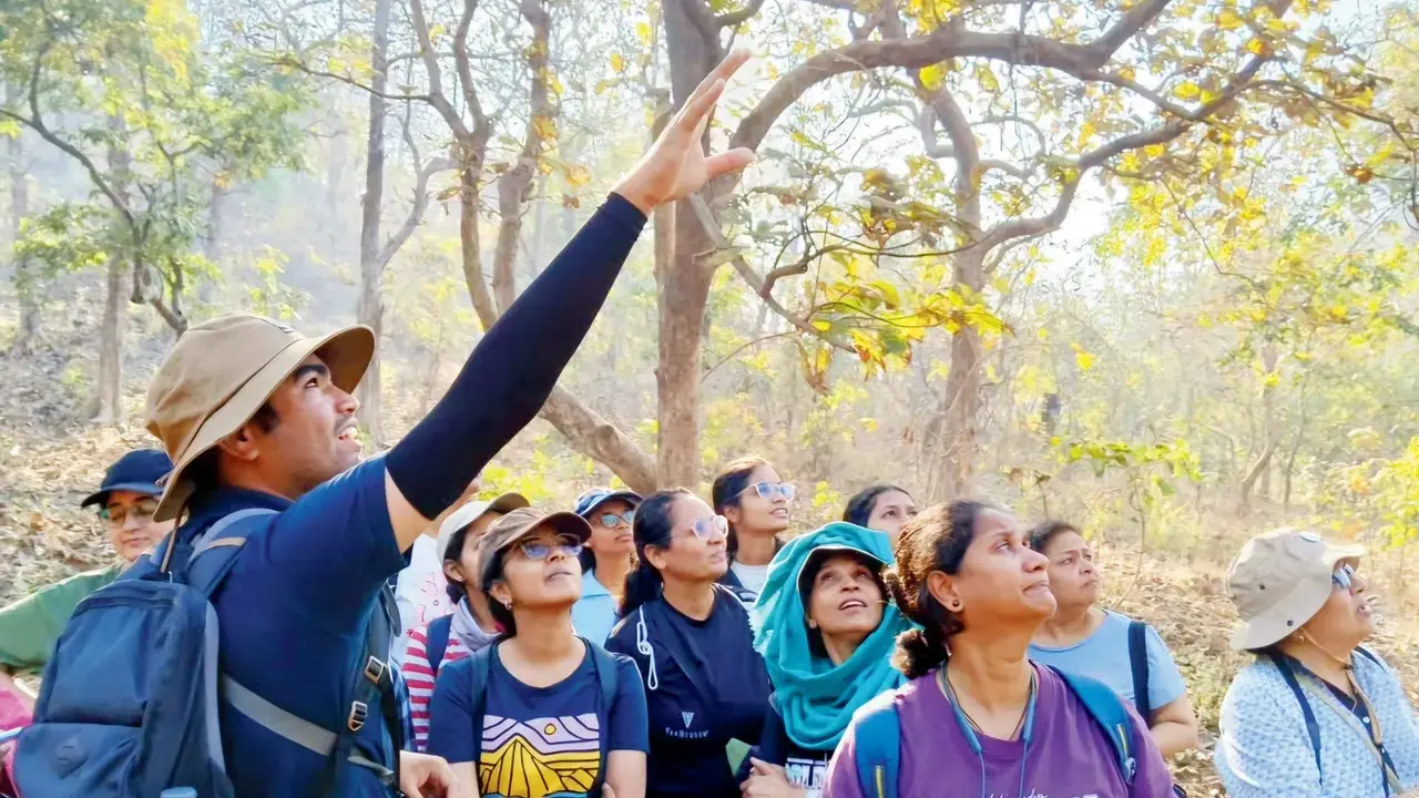 Birding curiositiesSanjay Gandhi National Park’s (SGNP) Bird Hide provides an immersive and peaceful birdwatching experience in the green terrains of Yeoor. Whether you are a seasoned birdwatcher or a newbie exploring its rich biodiversity, this walk is the place to be.
Time 6.45 am or 1 pmMeeting Point SGNP Bird Hide, Yeoor, Thane.Call 9325693451Entry Rs 300