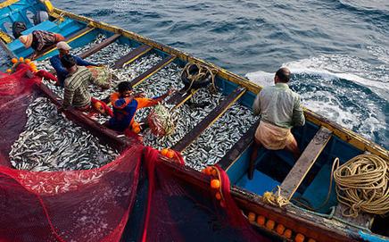 Representational image. Pic/iStock