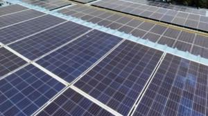 Mumbai LIVE: Maharashtra plans solar-powered onion processing units in state