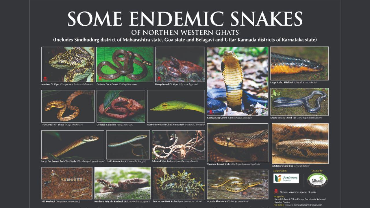 Sahyadri’s secret serpents get spotlight with new poster