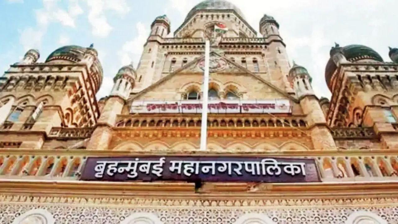 Representational image. File pic