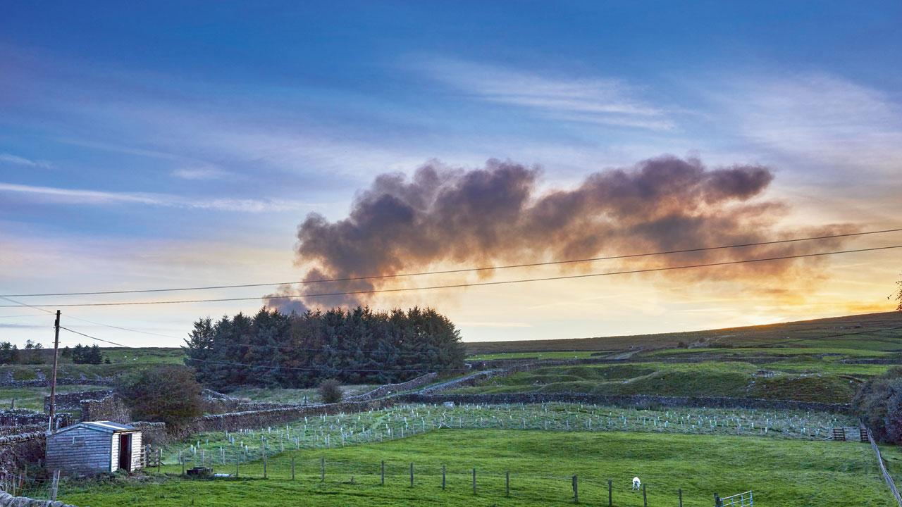 Thailand is facing a number of forest fires started by natural causes and human recklessness. PIC/ISTOCK