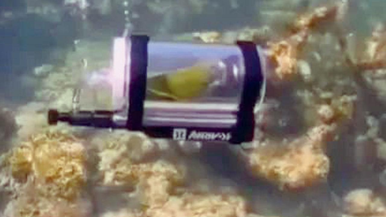 PIC/REDDIT @R/INTERESTING