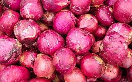 Currently, farmers are receiving only Rs 300 to Rs 800 per quintal for onions. Representational Pic