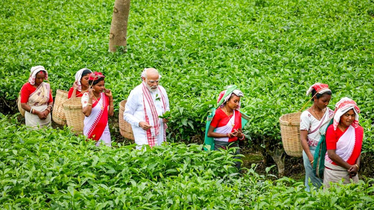 The Prime Minister expressed confidence in achieving a 