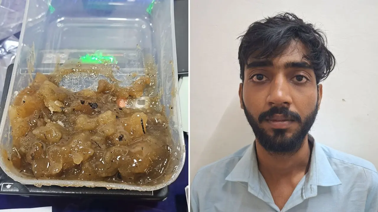 Whale ambergris (left). Adnan Khan (right)