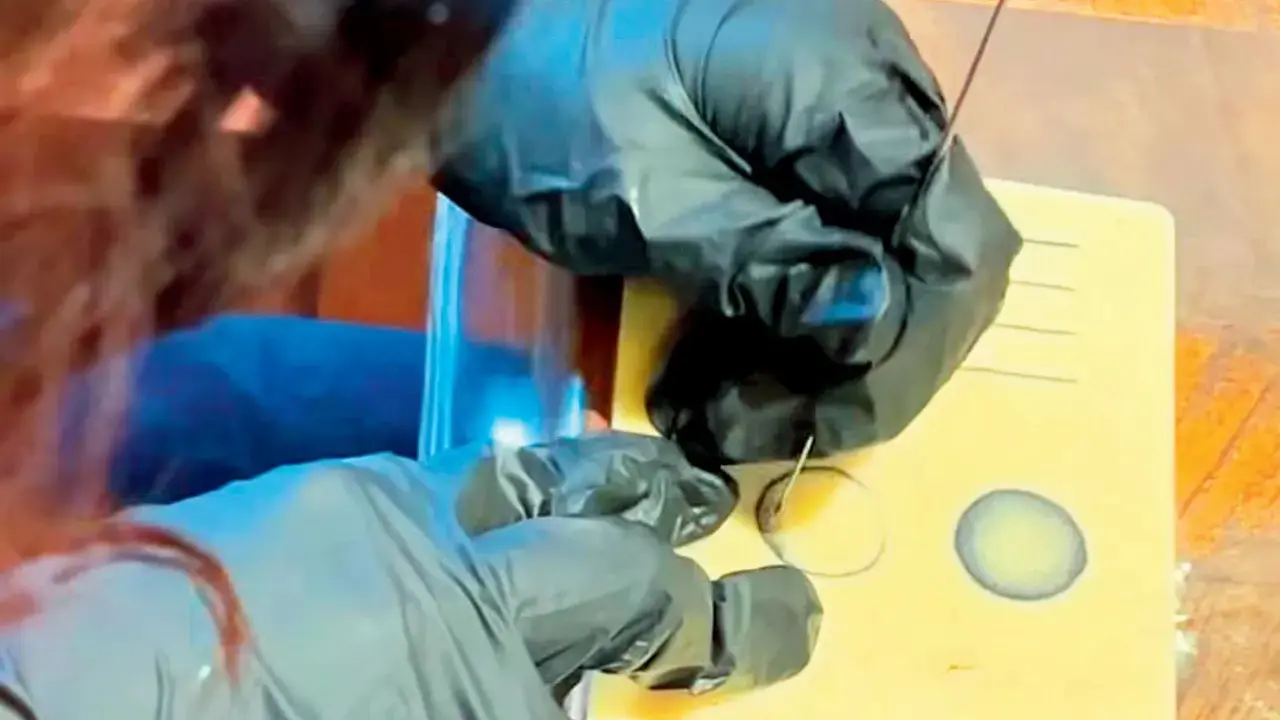 SaturdayNew look, new hobbyLooking to pick up a new hobby this holiday? You might want to add handpoke tattooing to the list. This workshop offers you a peek into the ancient tradition while you sip on complimentary cold brews from their caf&eacute;.
Time 11 am to 3 pmAt Ink N Brew, Versova, Andheri West.&nbsp;Log on to @ink_n_brewEntry Rs 750