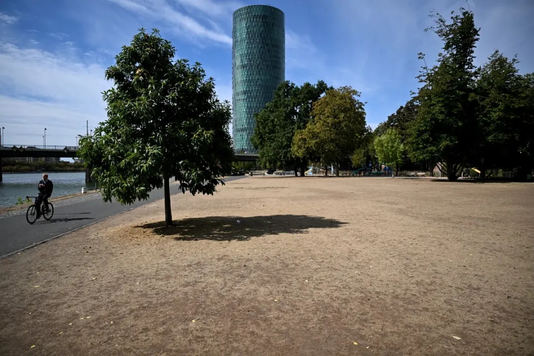 Germany's deadly summer: Heatwaves claim record 15,800 lives, says Robert Koch Institute A person rides a bicycle past a dried-up lawn in front of the Westhafen Tower on the Main river embankment in Frankfurt am Main, western Germany, on Monday, following a period of exceptionally hot weather. PIC/AFP