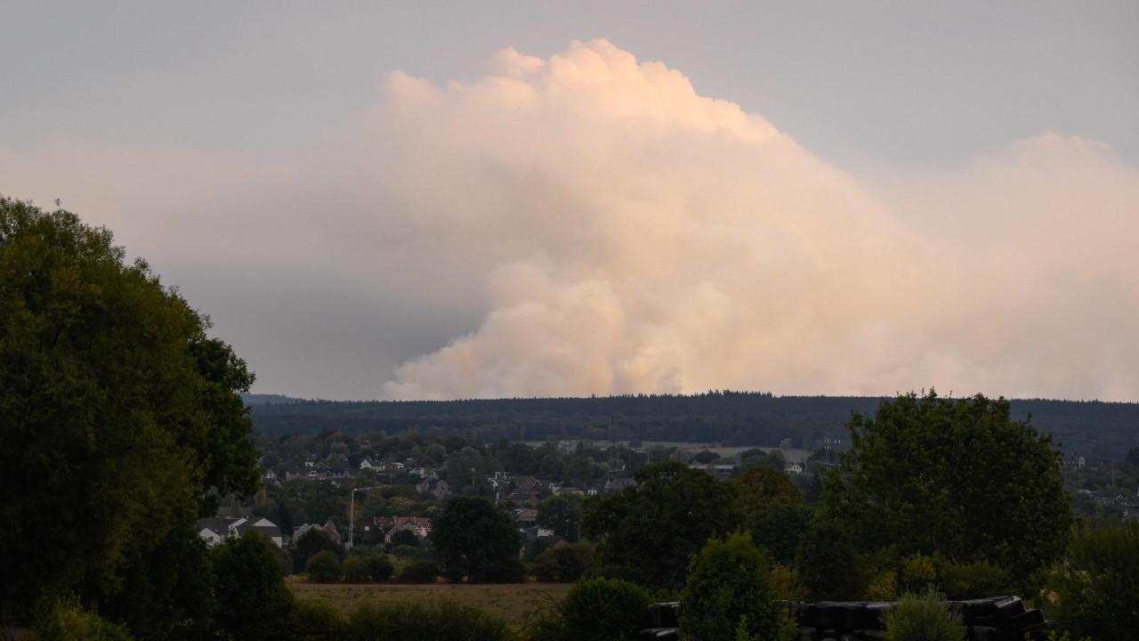 In Photos: Wildfires rage across Belgium and Greece amid hot, dry conditions Pic/AFP