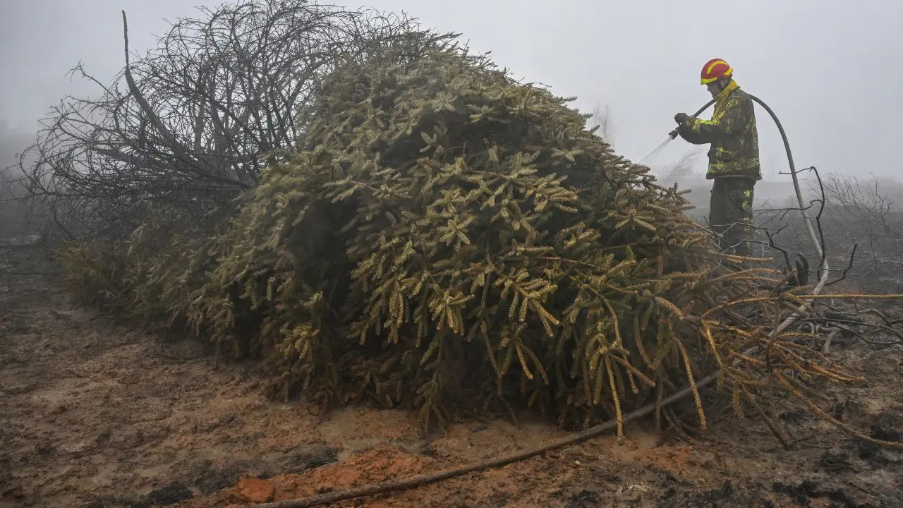 IN PHOTOS | Belgium wildfire: High Fens shrouded in smoke A firefighter sprays water with a hose on burnt soil and vegetation during operations against a wildfire at the Hautes Fagnes (High Fens) nature reserve near Waimes, eastern Belgium, on Tuesday. PIC/AFP