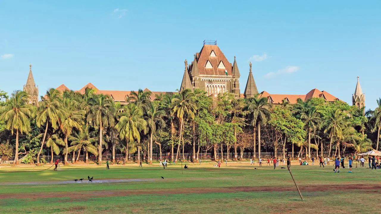 Bombay HC rejects man's divorce plea, says routine marital disagreements aren't cruelty Bombay High Court. File Pic