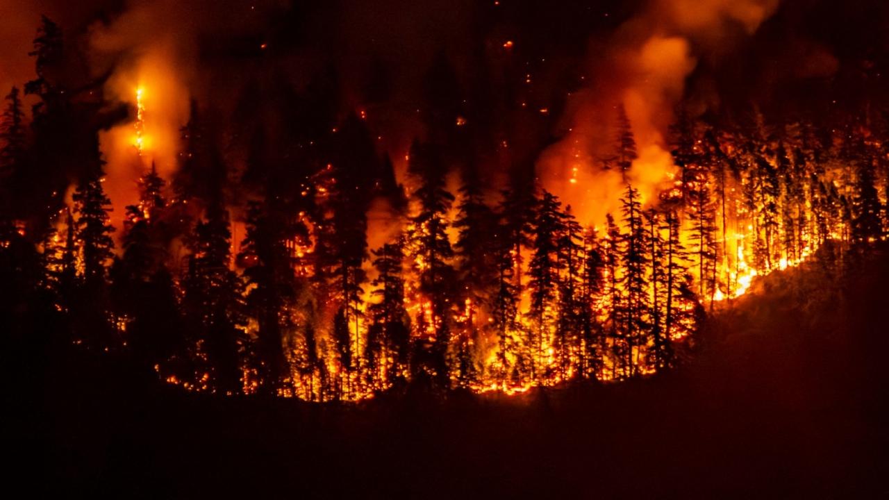Emergency officials said around 8,000 people have been evacuated across British Columbia, with dozens of evacuation orders remaining in effect as wildfire conditions continue to change.