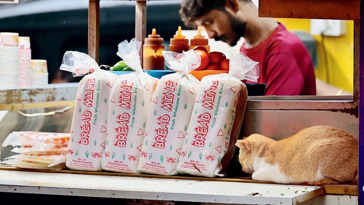 Mumbai Diary: Monday Dossier Pic/Shadab Khan