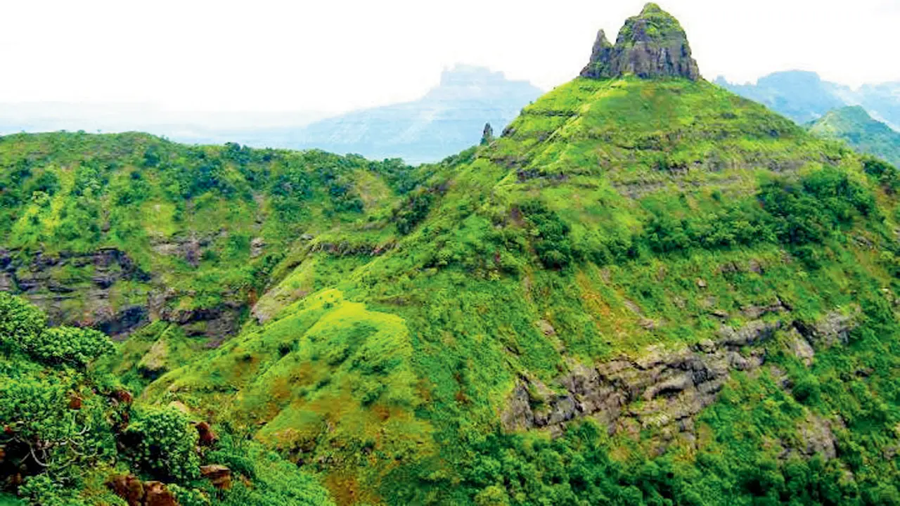 Mumbaikars can hike through these lesser-known trails around the city Pic courtesy/@beyongthemap, Wikimedia Commons, Sanyukta Penurkar