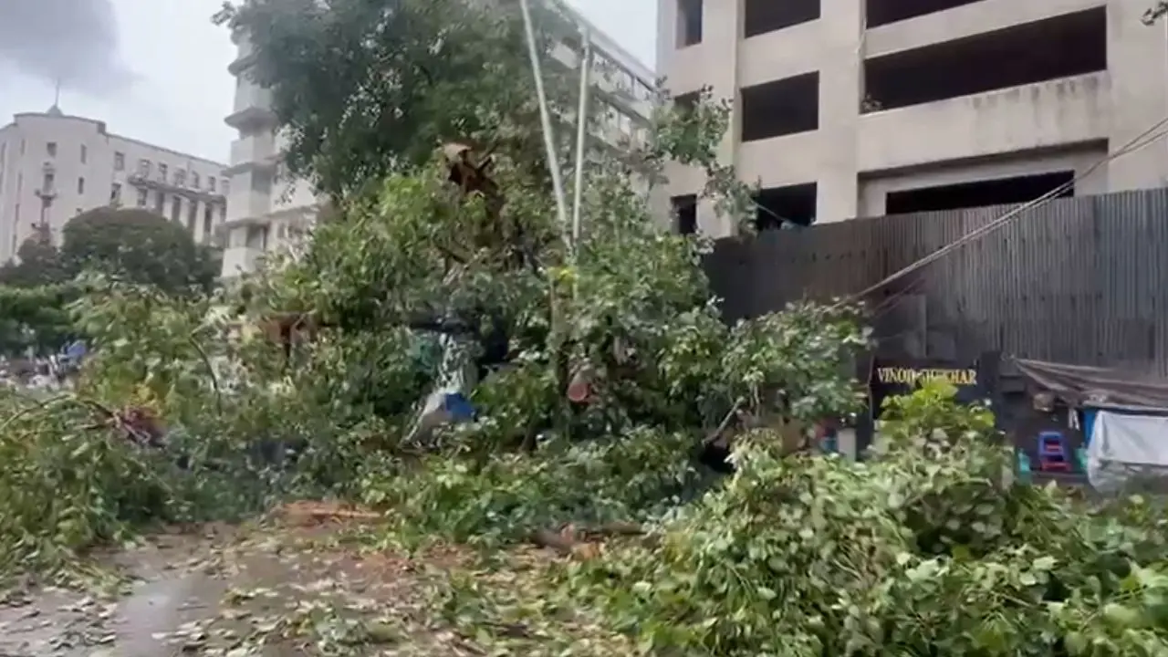 Mumbai: Tree falls on four vehicles near Churchgate metro station, two injured Massive tree falls leaves two injured near Churchgate (Pic/Ashish Raje)