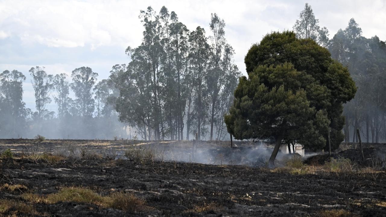 Three rural areas of Coello currently have six active fire spots, according to the mayor. About 100 rescue and wildfire-response personnel are working alongside local residents to contain the flames.