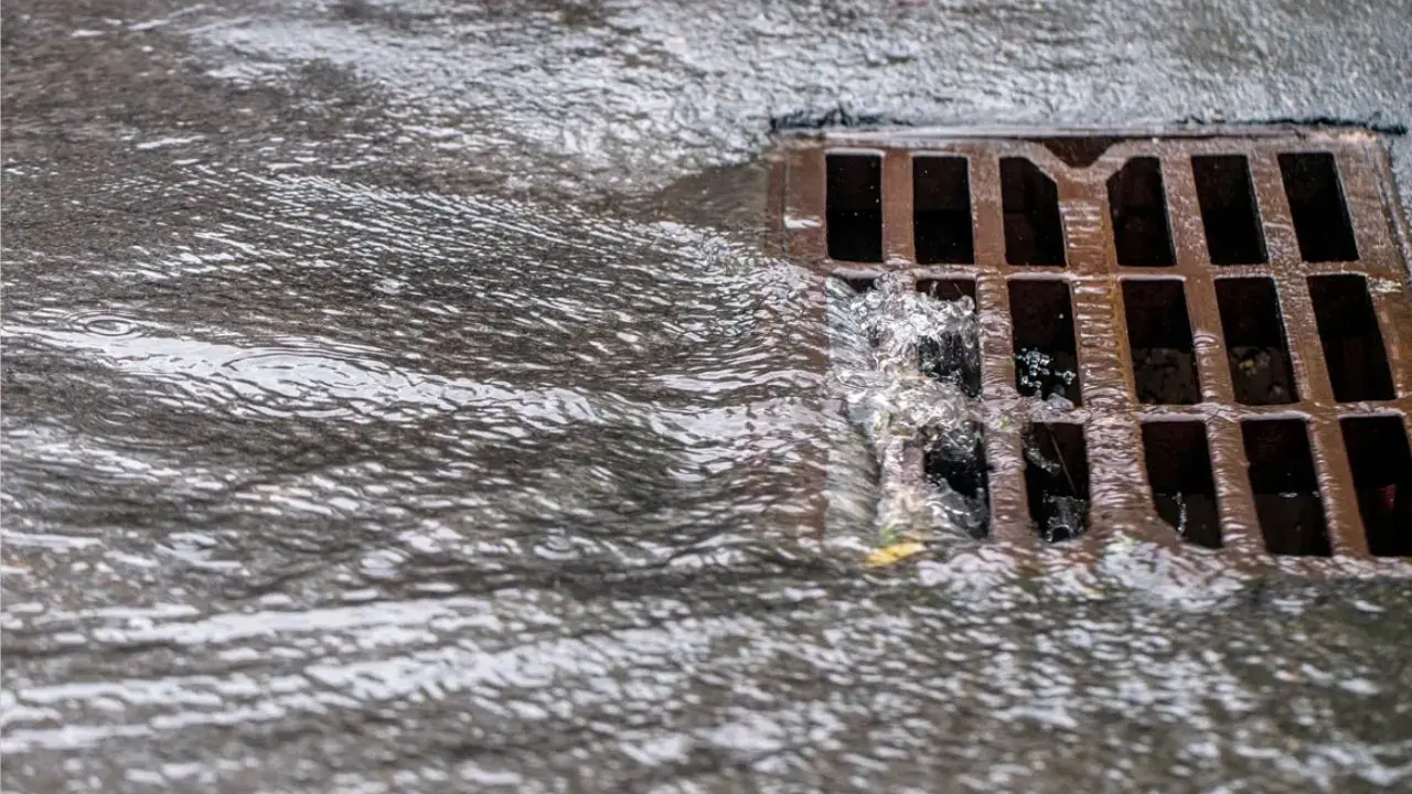 Thane: 64-year-old man rescued after falling into drain near CIDCO bus stop Representational image. File pic