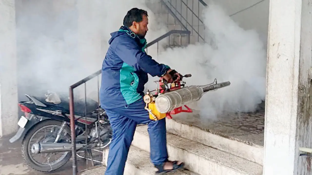 Dengue, chikungunya and H1N1 cases rise amid waterlogging