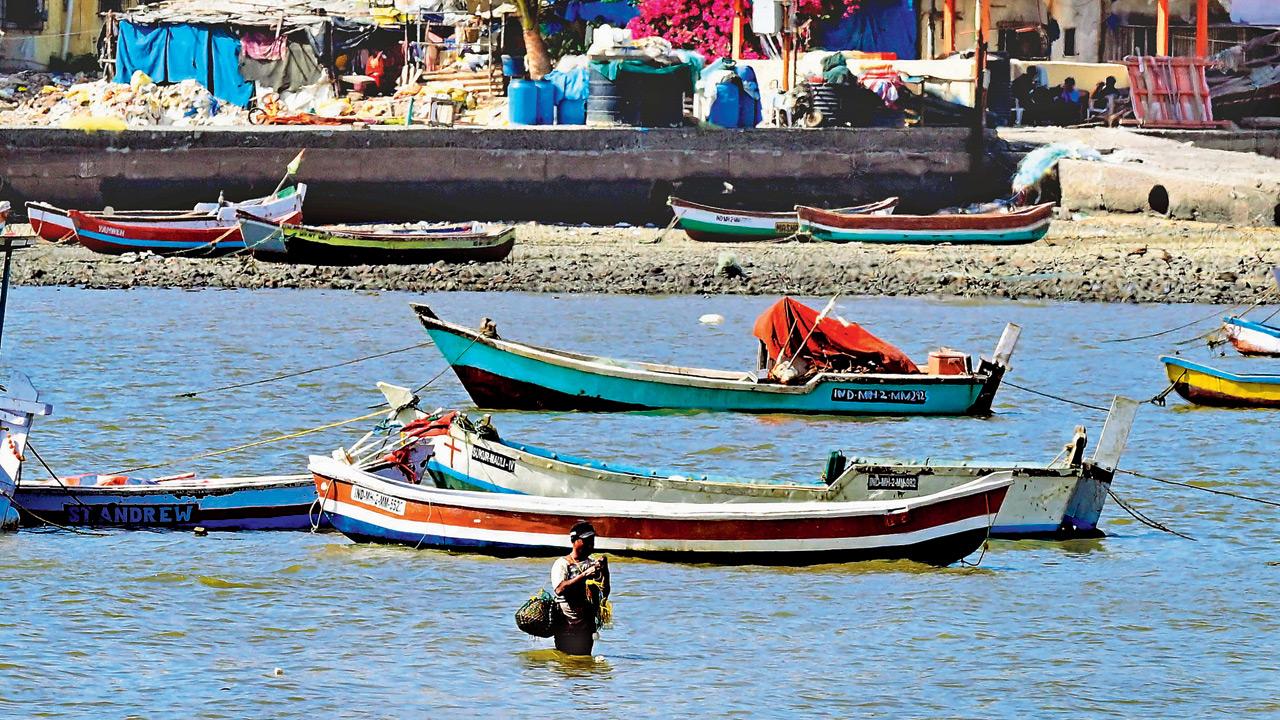 Mumbai Diary: Saturday Dossier Pic/Shadab Khan