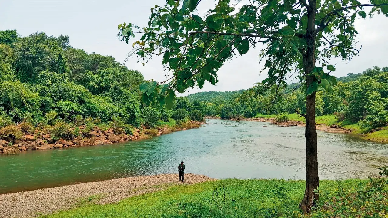 Malshej Ghat pumped storage project: Biodiversity survey flags discrepancies in draft EIA The proposed project will be built upstream on the Kalu River. Pics/Avinash Harad